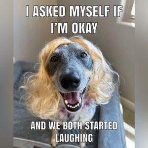 $5 Unlisted items - live show 3/21/26